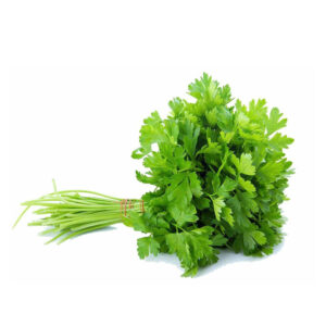 Coriander - ????? Pack