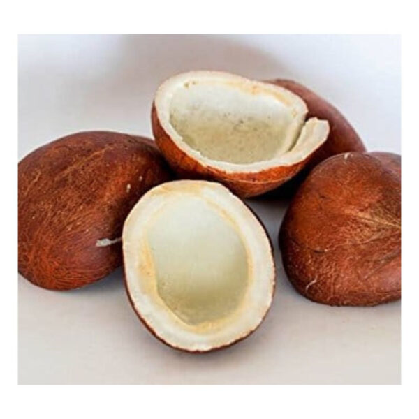 Coconut (Khoopa) 100g