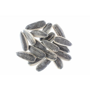 Surajmukhi Seed - ???? ???? ?? ???
