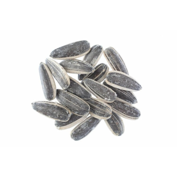 Surajmukhi Seed - ???? ???? ?? ???