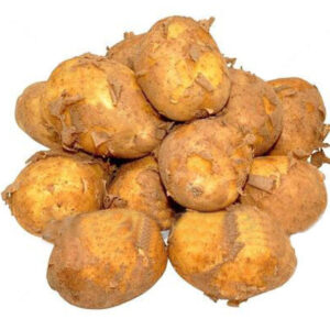 Potato - ??? ???